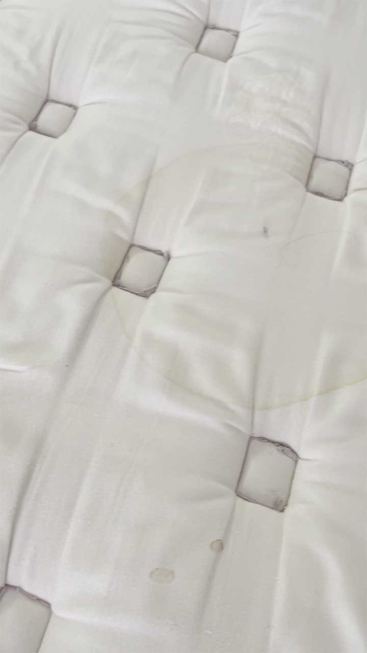 Untitled-1_0012_vlcsnap-2026-01-30-10h12m54s337